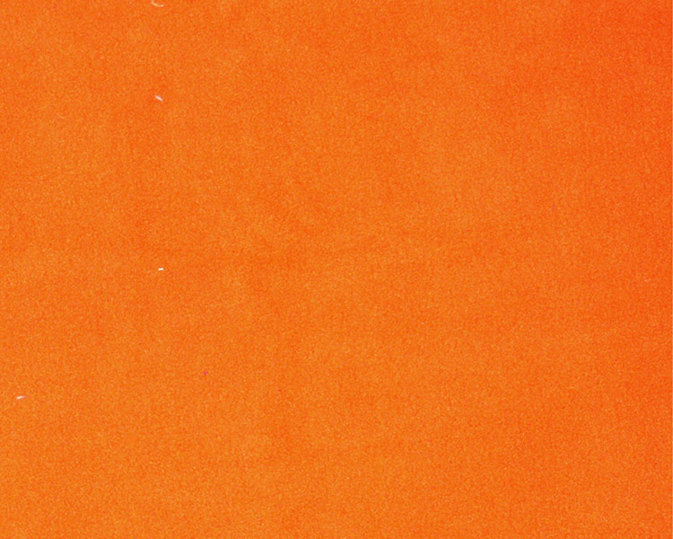 флис однотон оранж.jpg